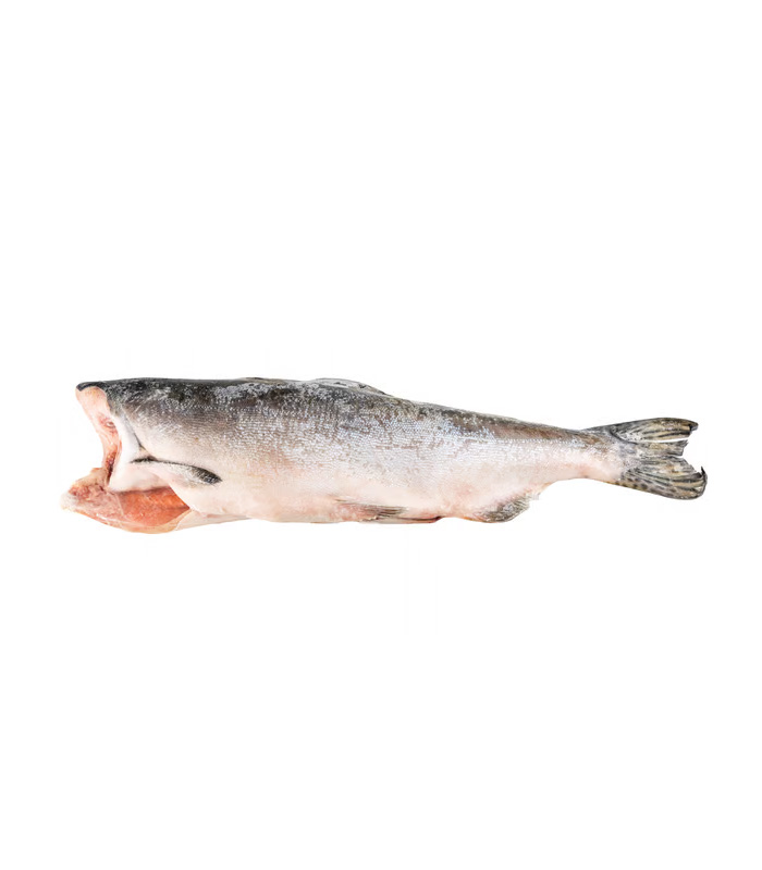 vg-sf-frzf-4.jpg Pink (Hump-Back) Salmon - Image 1